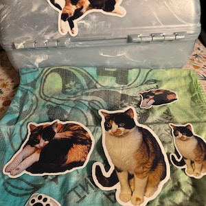 Tavia added a photo of their purchase