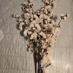 cecilia added a photo of their purchase
