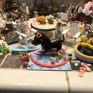 Amy added a photo of their purchase