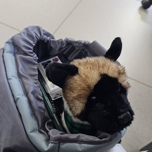 TOPLITHE Peluche De Perro Akita, Lindo Cachorro De Akita, Peluche Súper Suave for Niños Niñas Decoración De La Habitación (Size : 35CM/13IN TOPLITHE Peluche De Perro Akita, Lindo Cachorro De Akita, Peluche Súper Suave for Niños Niñas Decoración De La Habitación (Size : 35CM/13IN