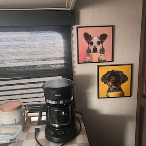 Alexandria added a photo of their purchase