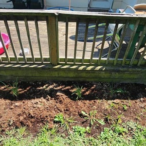 Sam a ajouté une photo de son achat