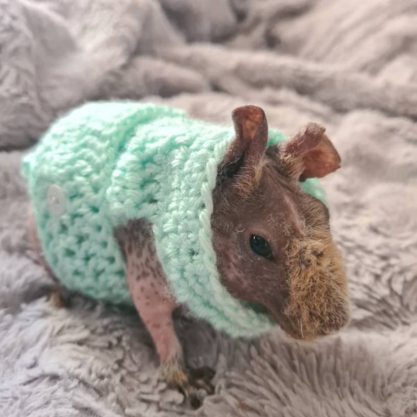 guinea-pig-clothes-guinea-pig-sweater-skinny-pig-sweater-small-pet
