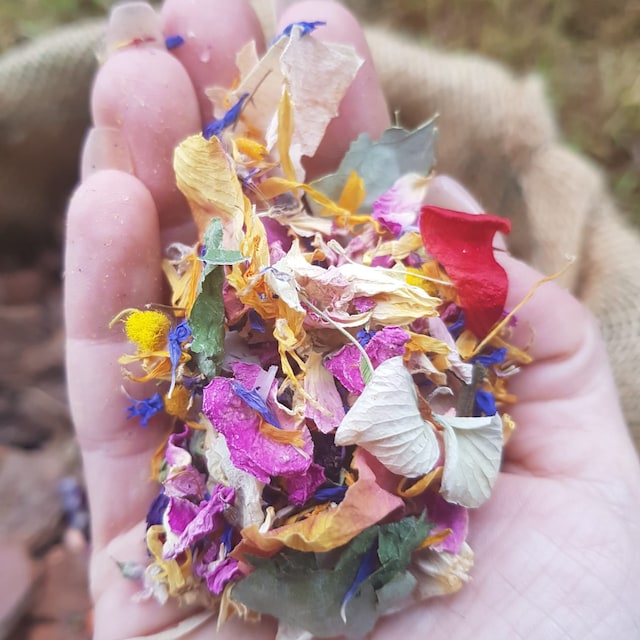 RainbowPana 50 Pack Biodegradable Confetti, Dried Flower Petals,  Biodegradable Flower Petals for Weddings, Wedding Confetti, Wedding Send  Off Ideas