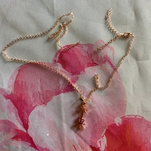 Alina added a photo of their purchase