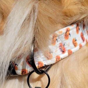 Maggie added a photo of their purchase