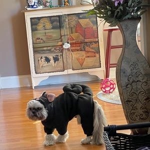 Kathy added a photo of their purchase
