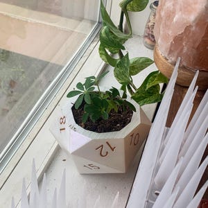 Hollis added a photo of their purchase