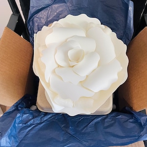 Barbara added a photo of their purchase