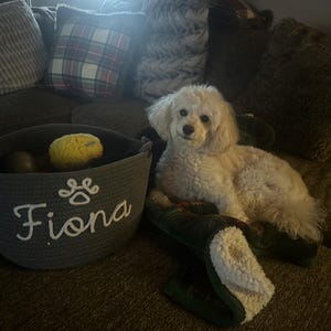 Lori added a photo of their purchase