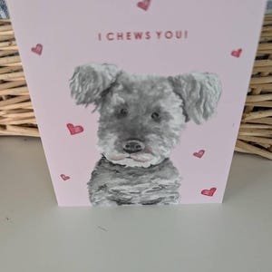 Sue added a photo of their purchase