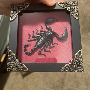 jeff added a photo of their purchase
