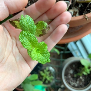 Kelly added a photo of their purchase