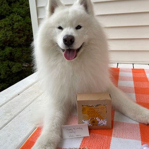 Susan added a photo of their purchase