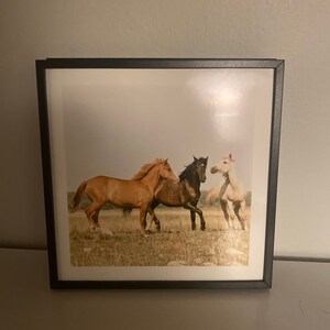 Melissa ha añadido una foto de su compra