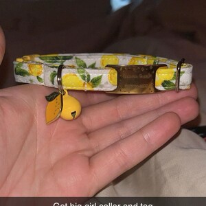 Megan heeft een foto van de aankoop toegevoegd