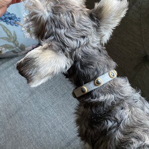 Gray Leather Dog Collar with gemstones, Luxury gray dog collar, Gemstone Dog Collar, Hematite Dog Collar, Cool Dog Collar