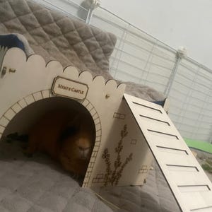 Dan ha añadido una foto de su compra