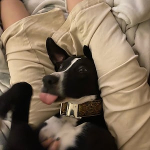 Arden added a photo of their purchase