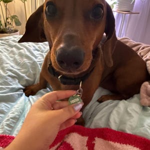 Abbie heeft een foto van de aankoop toegevoegd