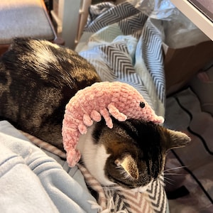 Samantha added a photo of their purchase