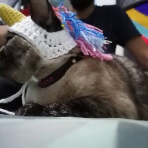 Selene added a photo of their purchase