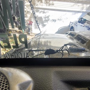 heather added a photo of their purchase