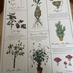 Harry Potter Herbology Chart A4 Print | Etsy