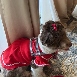 Rafaela added a photo of their purchase