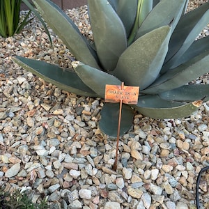 Melanie added a photo of their purchase