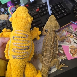 Allegra hat ein Foto des gekauften Artikels hinzugefügt