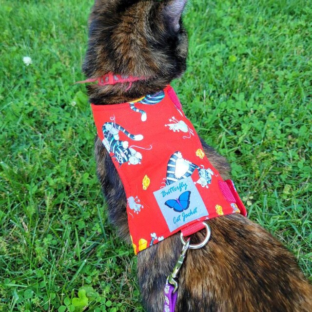 Butterfly Cat Jackets Walking Harness by ButterflyCatJackets