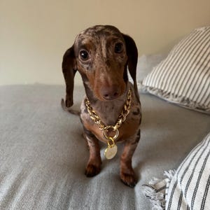 Annaliese added a photo of their purchase