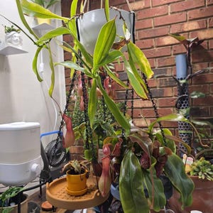 Tracy added a photo of their purchase