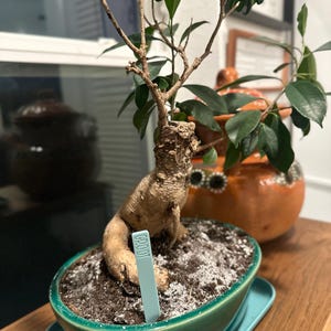 Elizabeth added a photo of their purchase