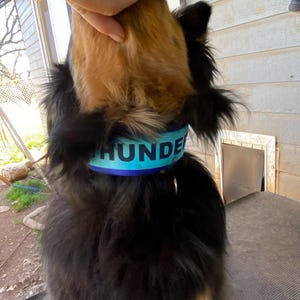 Melonie added a photo of their purchase