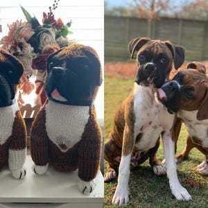 Lacey added a photo of their purchase