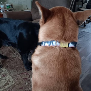 Tammy ha añadido una foto de su compra