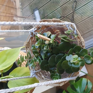 Maria ha añadido una foto de su compra