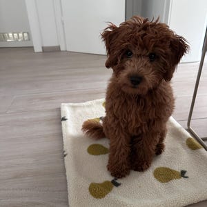 Leonie added a photo of their purchase