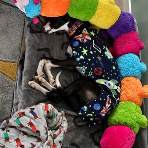 Rhiannon added a photo of their purchase
