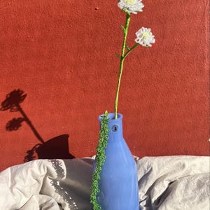 Anna added a photo of their purchase