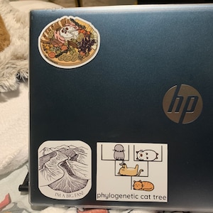 Emily added a photo of their purchase