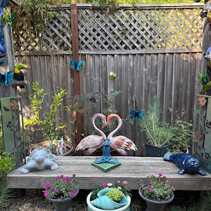 Lyn added a photo of their purchase