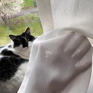Ceyda added a photo of their purchase