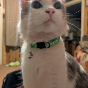 Rick ha añadido una foto de su compra