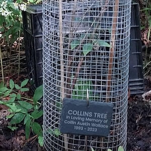 Beverly added a photo of their purchase