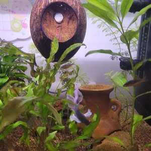 SaRaHpagl.ART added a photo of their purchase