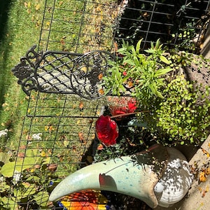 Roseann added a photo of their purchase
