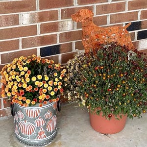 Diana added a photo of their purchase